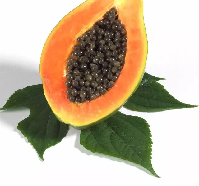 Image Of Papaya Seeds Benefits