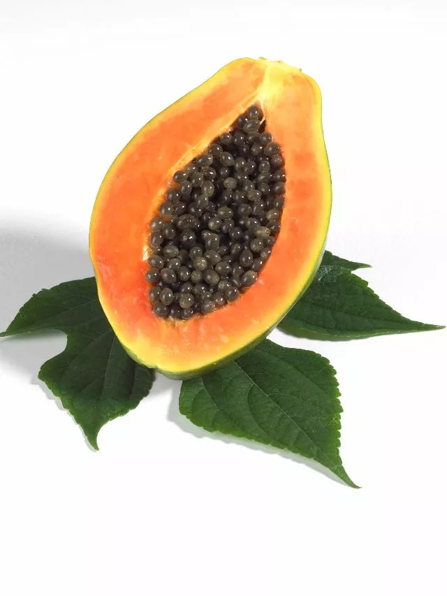 Papaya Seeds Benefits: 8 Health Benefits Of Papaya Seeds