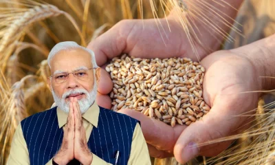 Modi Govt Limits Wheat Stock