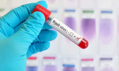 Nipah Virus In Kerala