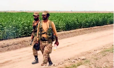 Pakistan Army will cultivate agriculture over 10 lakh acre farm land