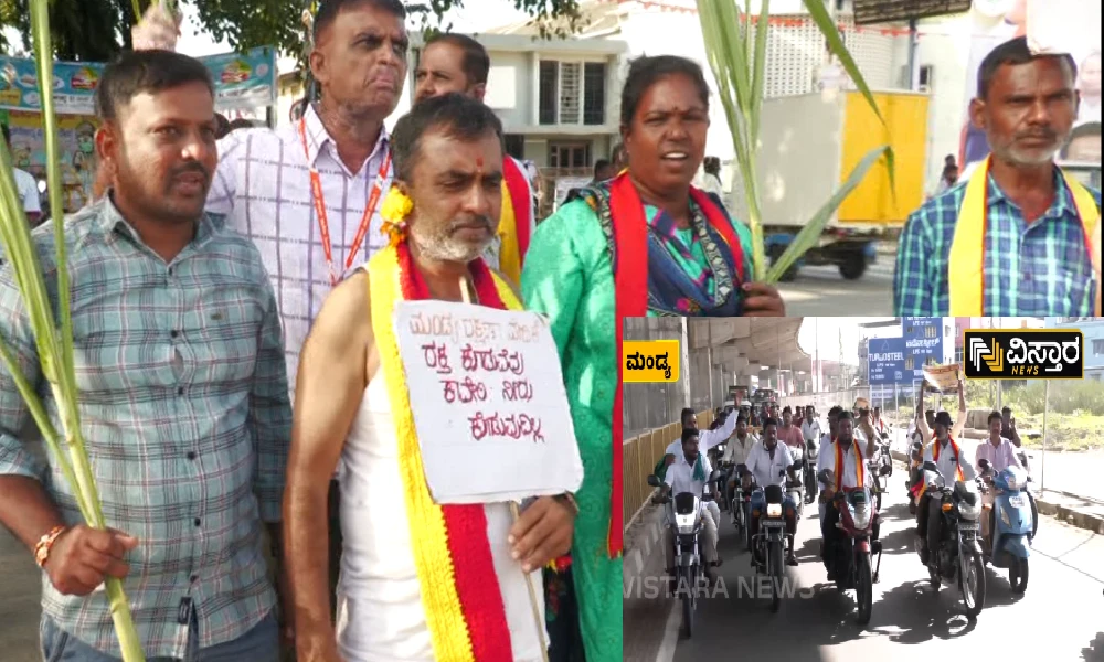 Protest in Mandya over Cauvery water