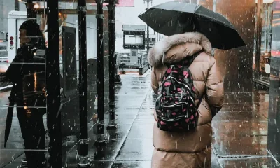 Woman Walking on Street Under Black Umbrella rain news
