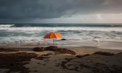 Rain in Coastal area and umbrella