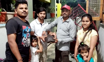 Rare 60 year old tortoise found Protected from children