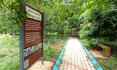 Special Digital Technology for Saalumarada Thimmakka Park at Banavasi, Installation of Information Boards