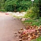 Sirsi s Padambail main road side garbage heap Demand for necessary action