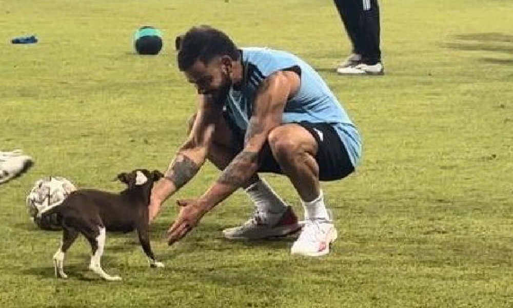 Virat Kohli Plays With Puppy