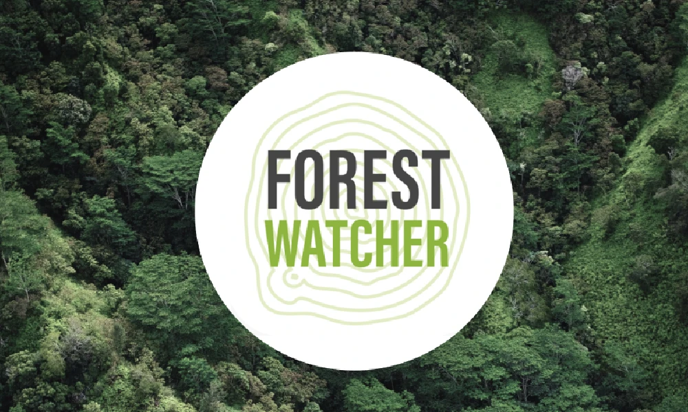 forest watcher