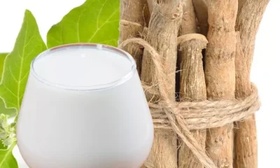 iamge of Ashwagandha With Milk Benefits