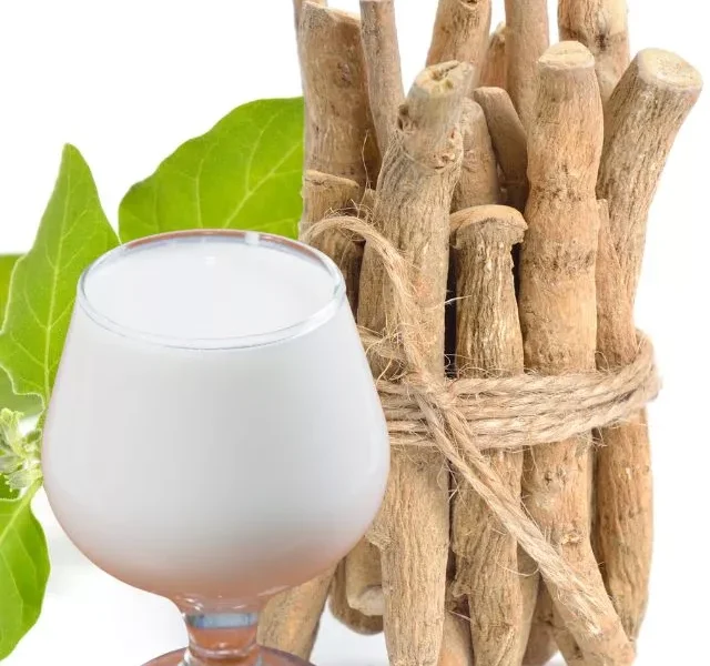 iamge of Ashwagandha With Milk Benefits