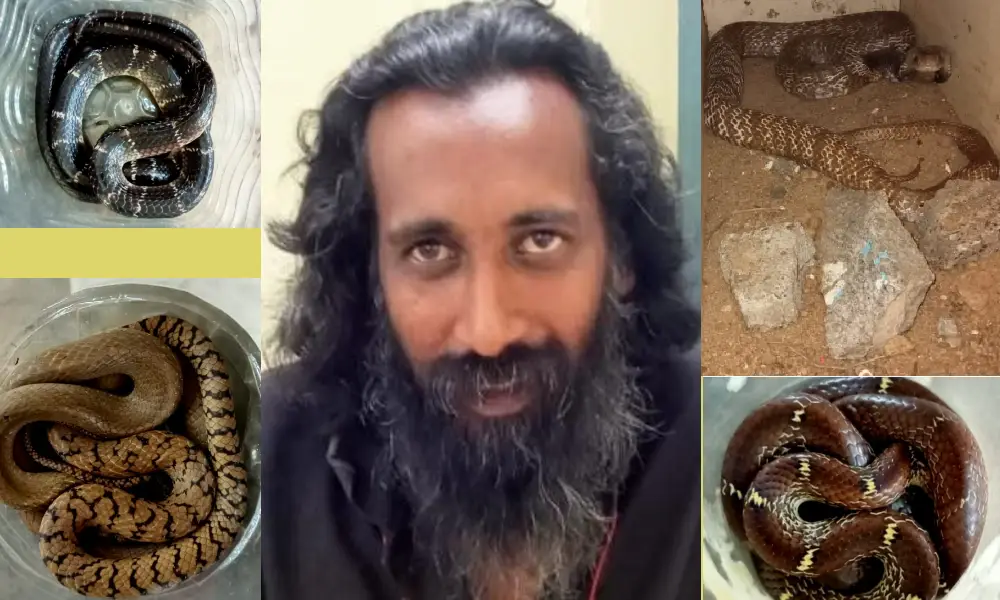 Snake man in Mysore