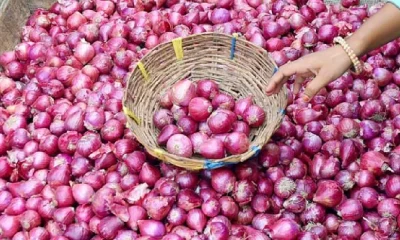Bangalore Rose Onion