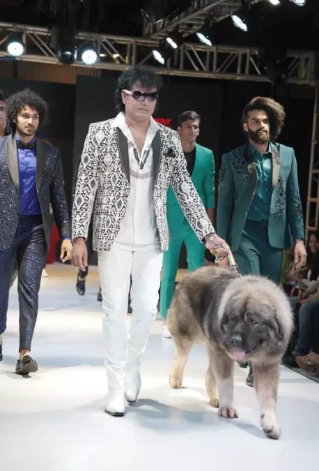 Celebrity Dog Hydari Ramp Walk