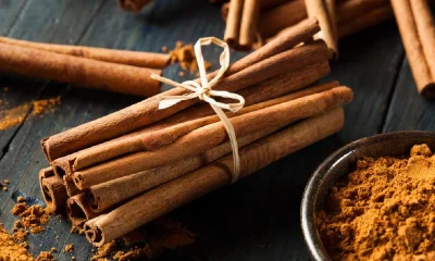 Cinnamon health benefits