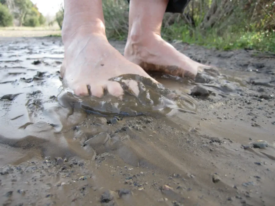 Wear the chappal instead of blaming mud