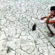 Vistara Editorial, Drought is all over in the karnataka, farmers need help