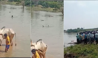 3 boys Drowned in river