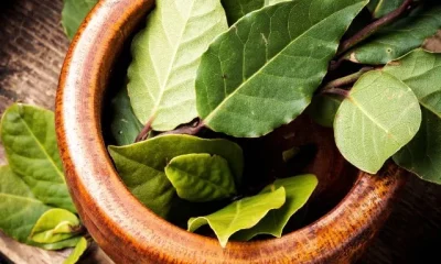 Image Of Bay Leaves Benefits