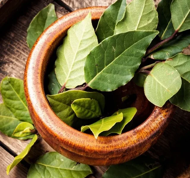 Image Of Bay Leaves Benefits