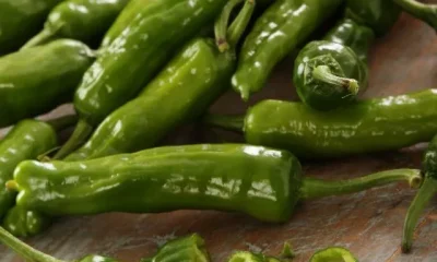 Image Of Benefits of Green Chilli