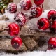 Image Of Winter Fruits