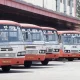 KSRTC buses