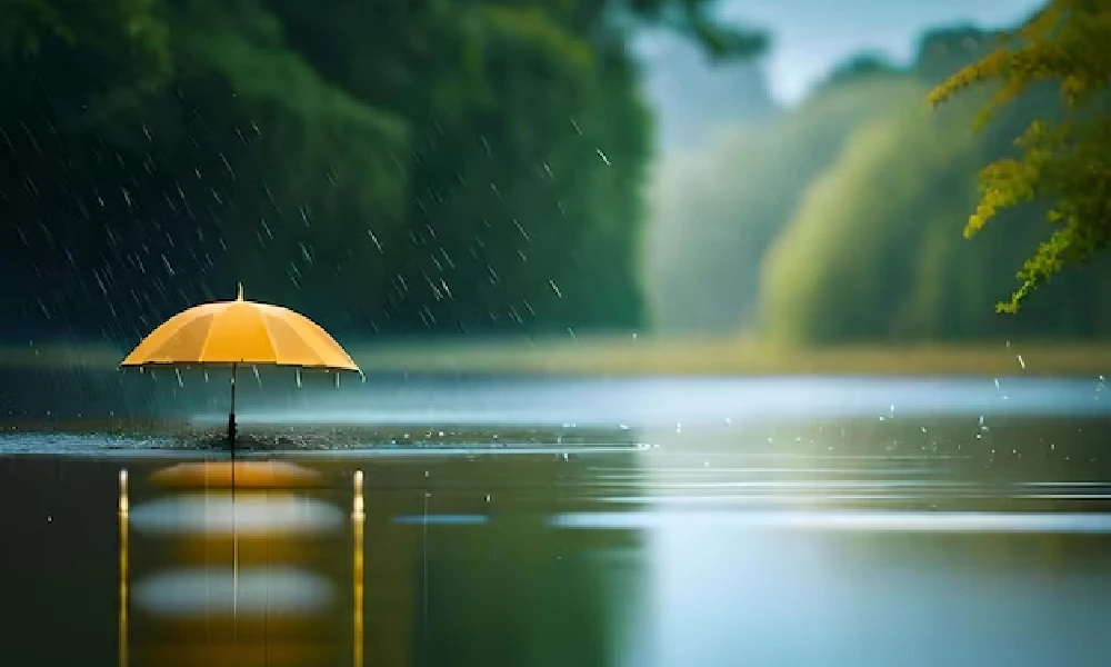 Rain Umbrella karnataka weather forecast