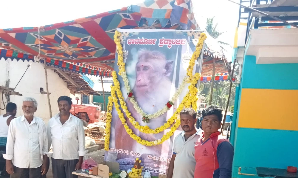 Monkey dies in Mandya