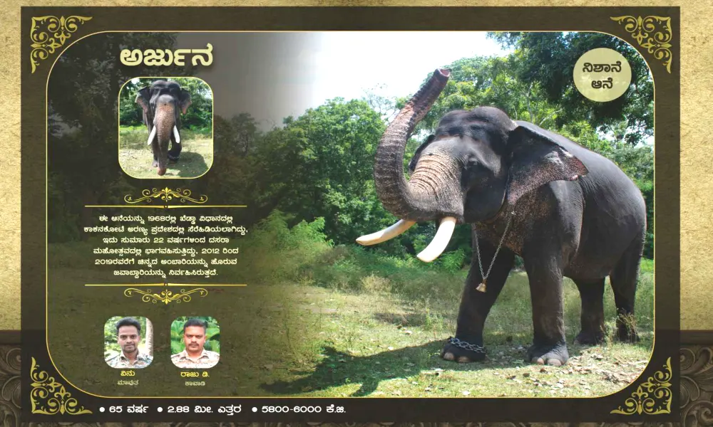 Mysore Dasara Elephants and profiles