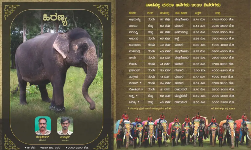 Mysore Dasara Elephants and profiles
