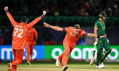 Netherlands cricket team