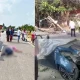 Road Accident in Bengaluru And Mandya