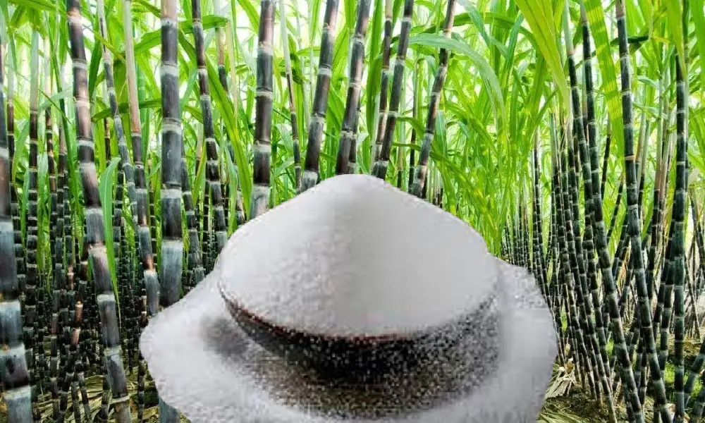 Sugar production in Karnataka