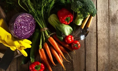 Tips To Prevent Vegetables From Spoiling In Summer
