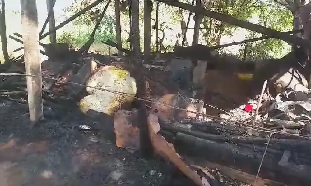 Cows dead in fire in vijayanagara