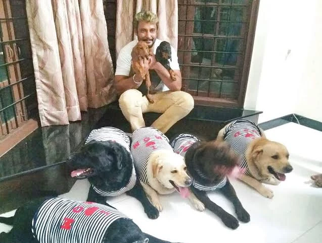 darshan with dogs