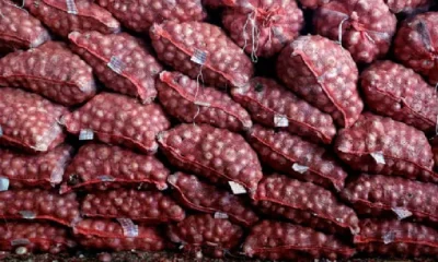 Government Permits for export of 54,760 Tonnes of onion to four countries