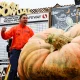 American Teacher grows record breaking 1247 kg pumpkin at his backyard