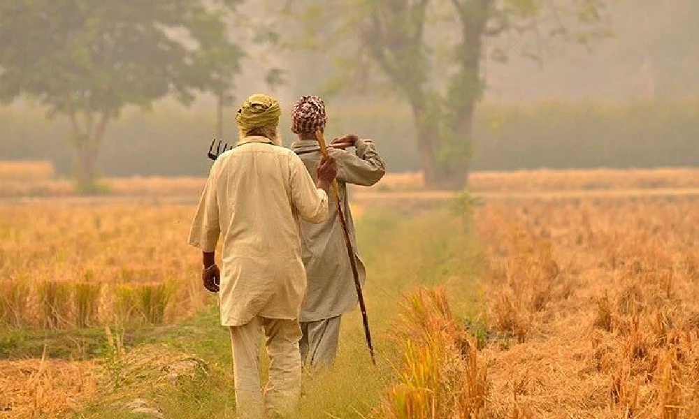 punjab farners