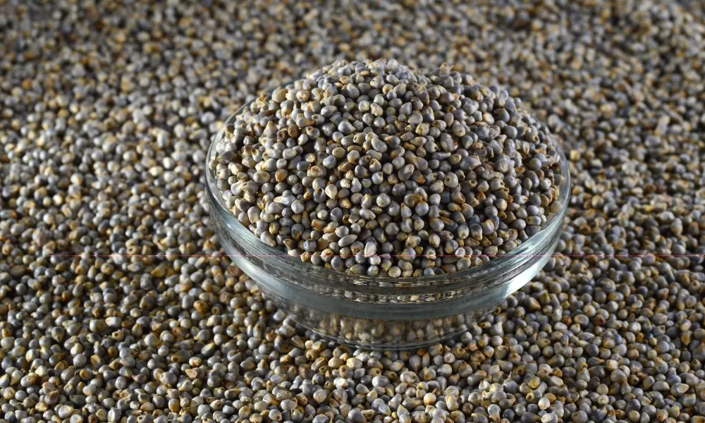 Bajra (Pearl Millet) in Glass Bowl
