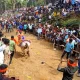 Bull Bullying Competition in Maduravalli at Banavasi