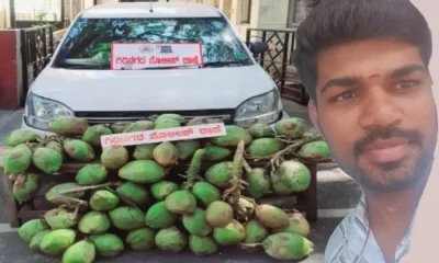 Tender Coconut thief