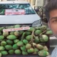 Tender Coconut thief