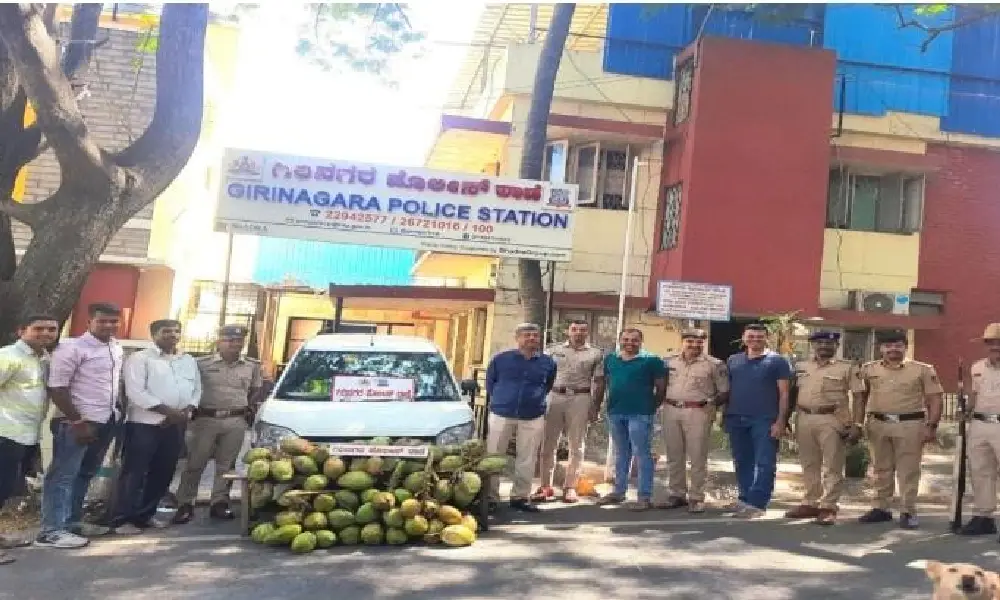 Coconut thief in Bangalore