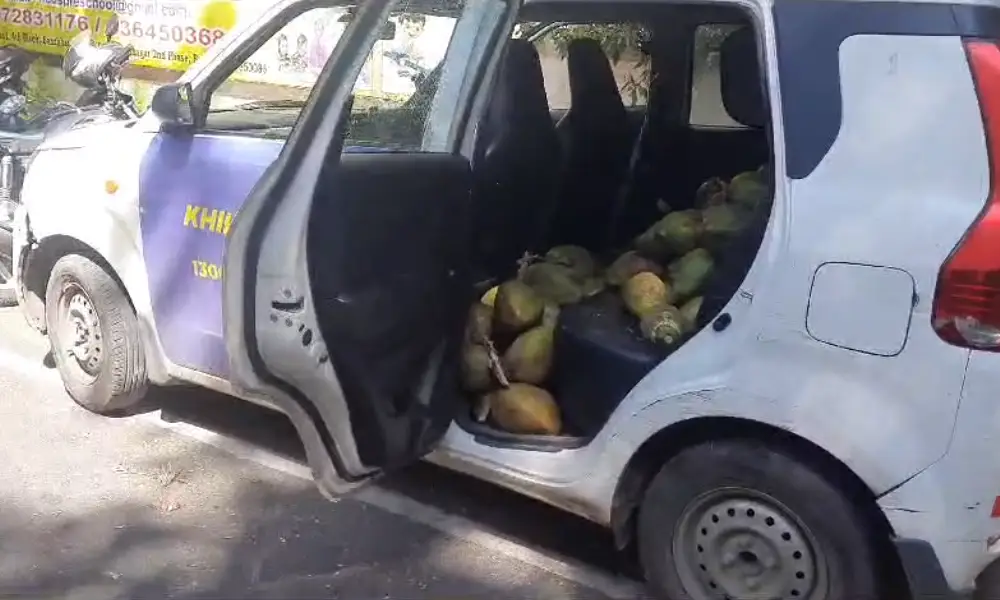 Coconut thief in Bangalore