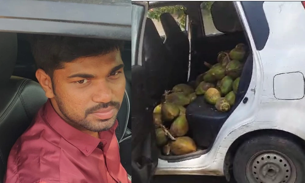 Coconut thief in Bangalore