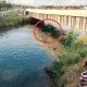 Drowned in canal in Mandya