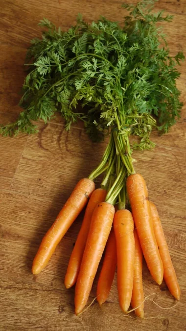 Fresh Carrot Benefits