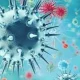 H9N2 virus outbreak in china, India is to closely monitoring situation